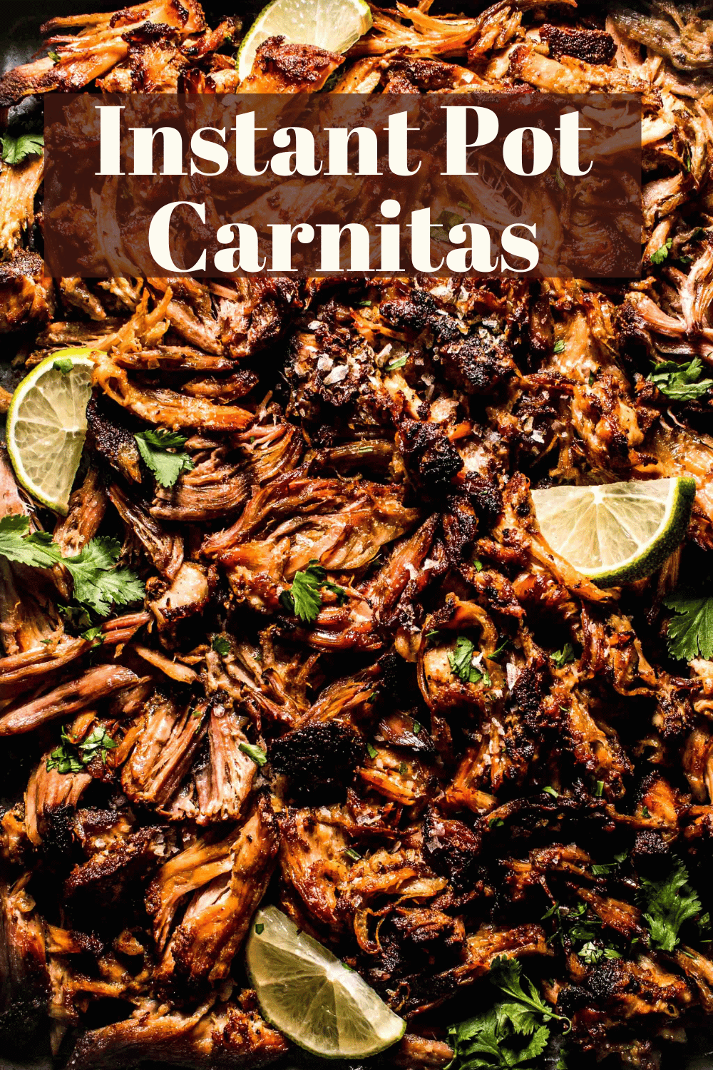 Instant Pot Carnitas: Tender Pork in Just 1 Hour